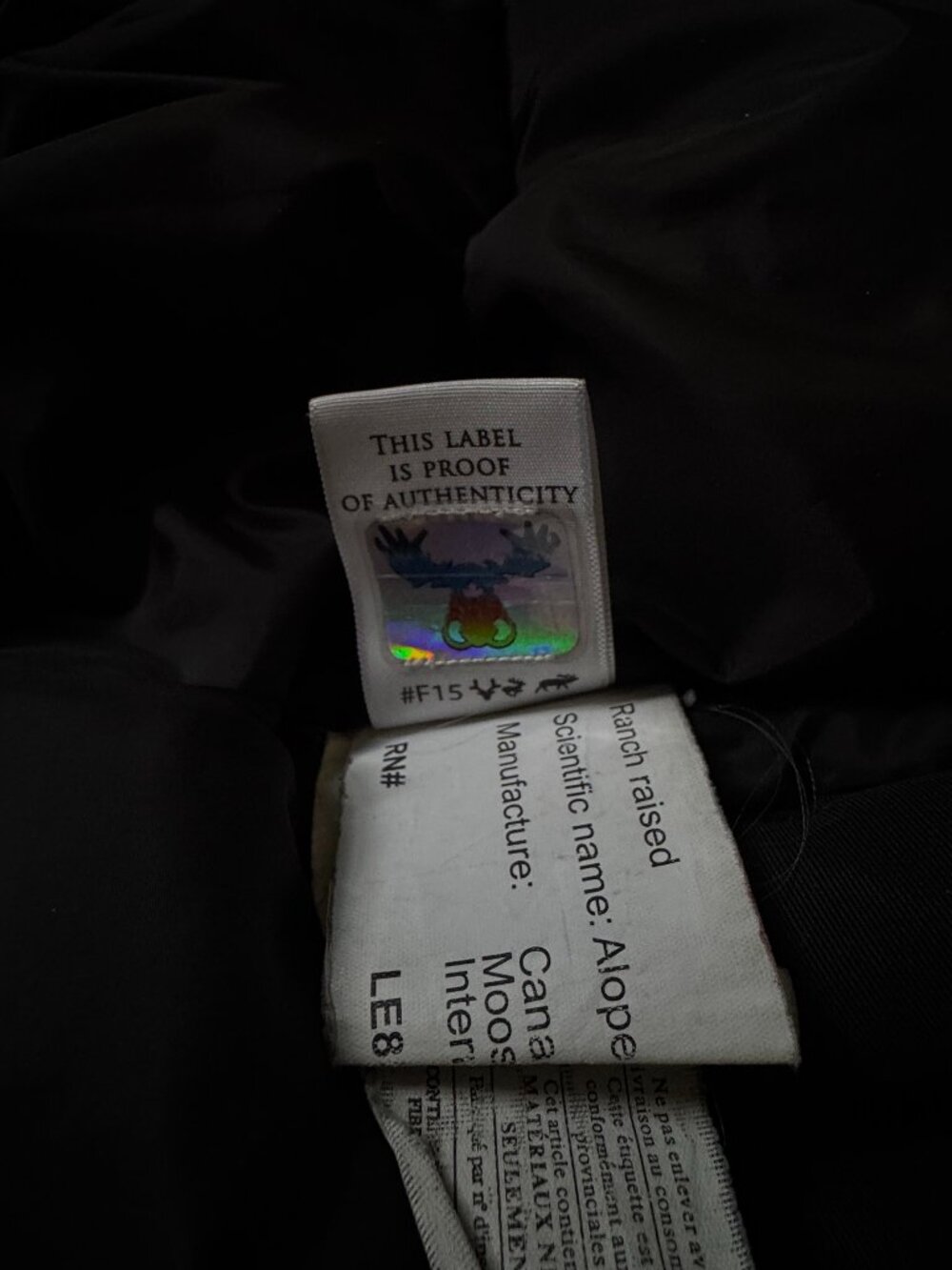 Moose Knuckle Kids Jacket (FREE SHIPPING) - Picture 10 of 11